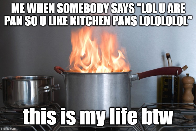 Pan fire | ME WHEN SOMEBODY SAYS "LOL U ARE PAN SO U LIKE KITCHEN PANS LOLOLOLOL"; this is my life btw | image tagged in pan fire,i dunno man seems kinda gay to me,pansexual,this is my life,always | made w/ Imgflip meme maker