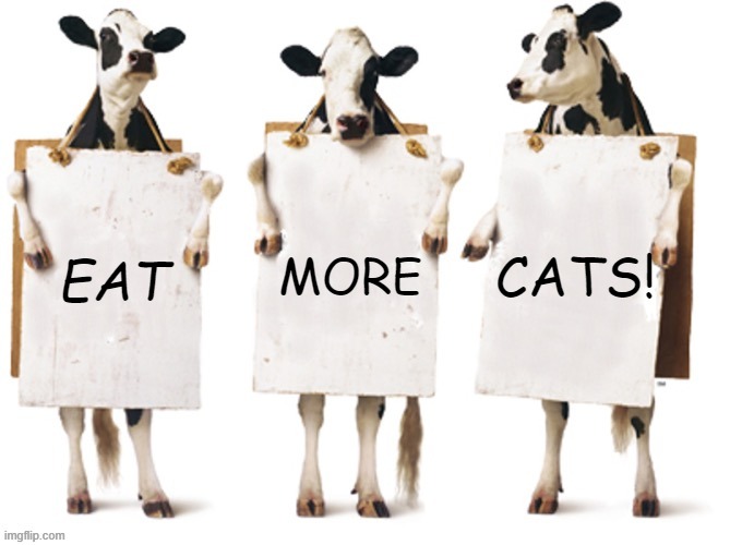 Chick-Fil-A 3 cow billboard fixed textboxes | CATS! MORE; EAT | image tagged in chick-fil-a 3 cow billboard fixed textboxes | made w/ Imgflip meme maker