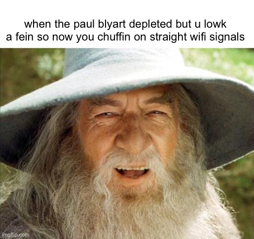 when it comes to feinery im D1 | when the paul blyart depleted but u lowk a fein so now you chuffin on straight wifi signals | image tagged in fein | made w/ Imgflip meme maker