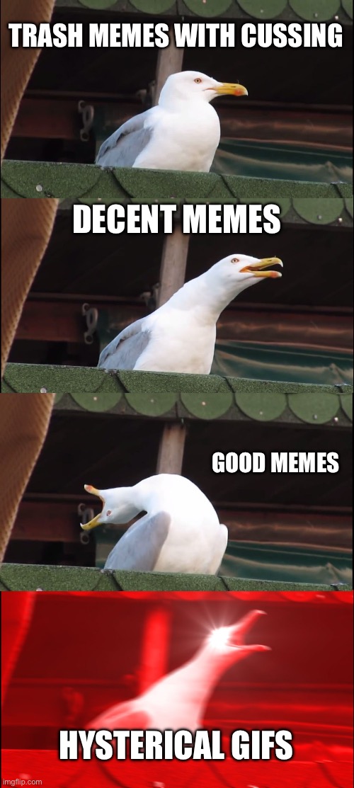 meme ranking | TRASH MEMES WITH CUSSING; DECENT MEMES; GOOD MEMES; HYSTERICAL GIFS | image tagged in memes,inhaling seagull | made w/ Imgflip meme maker