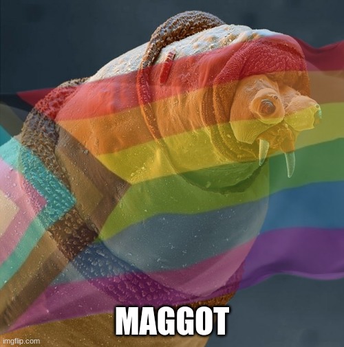 just a normal picture | MAGGOT | made w/ Imgflip meme maker