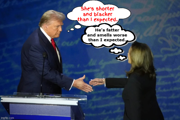 Shaky ground | She's shorter and blacker than I expected. He's fatter and smells worse than I expected. | image tagged in trump can't take back the handshake,trump was grabbed,bone spurs,putin backs harris,2024 2nd presidential debate,trump stumped | made w/ Imgflip meme maker