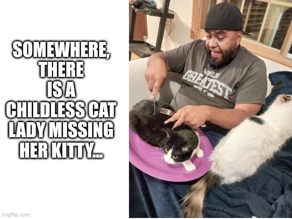 Cat for dinner | SOMEWHERE, THERE IS A CHILDLESS CAT LADY MISSING HER KITTY... | image tagged in funny memes,cat,cat at dinner,ridiculous | made w/ Imgflip meme maker