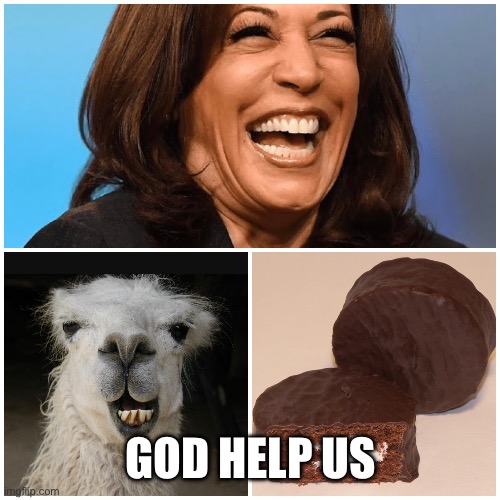 GOD HELP US | image tagged in politics,political meme,kamala harris,maga,funny memes,political humor | made w/ Imgflip meme maker