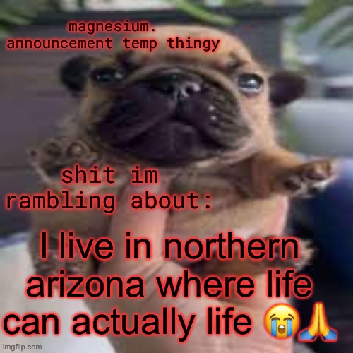 not the fucking bottom of hell like the south here is | I live in northern arizona where life can actually life 😭🙏 | image tagged in pug temp | made w/ Imgflip meme maker