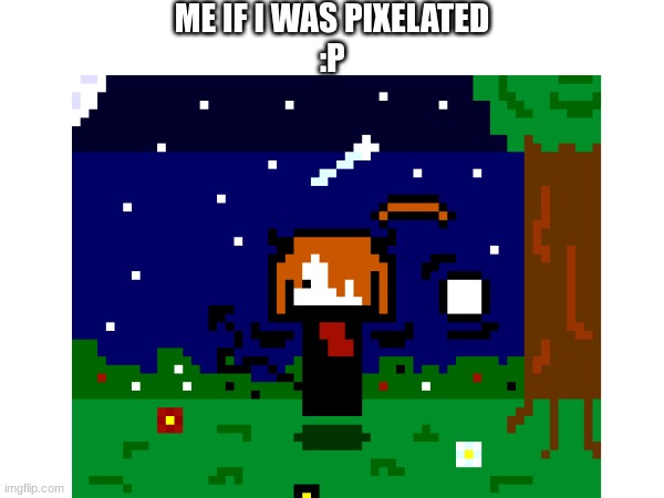 yaaaaaaay :DD | ME IF I WAS PIXELATED
:P | made w/ Imgflip meme maker