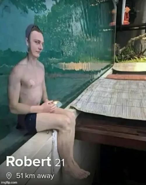 Robert | image tagged in robert | made w/ Imgflip meme maker