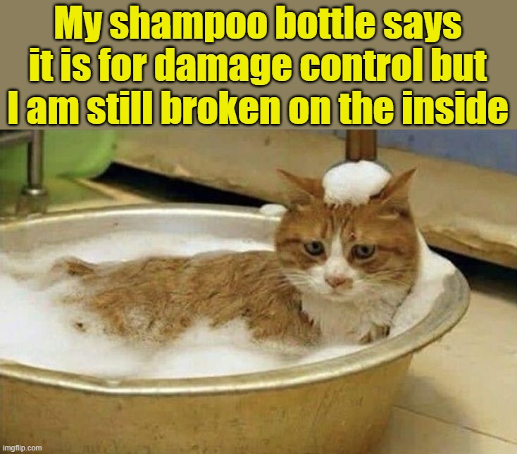 Damage Control | My shampoo bottle says it is for damage control but I am still broken on the inside | image tagged in shampoo,emotional damage | made w/ Imgflip meme maker