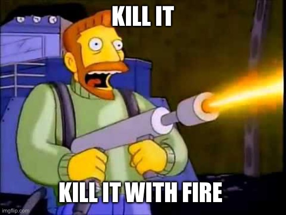 Kill it with fire | KILL IT KILL IT WITH FIRE | image tagged in kill it with fire | made w/ Imgflip meme maker