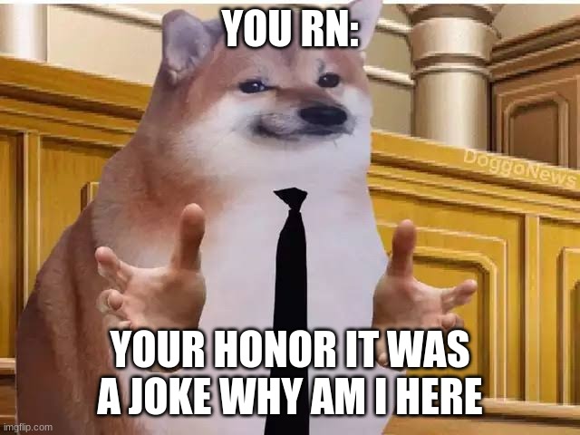 Your honor, cheems | YOU RN: YOUR HONOR IT WAS A JOKE WHY AM I HERE | image tagged in your honor cheems | made w/ Imgflip meme maker