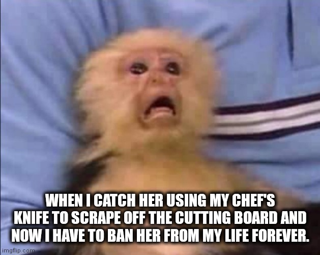 Cutting board | WHEN I CATCH HER USING MY CHEF'S KNIFE TO SCRAPE OFF THE CUTTING BOARD AND NOW I HAVE TO BAN HER FROM MY LIFE FOREVER. | image tagged in frightened monkey | made w/ Imgflip meme maker