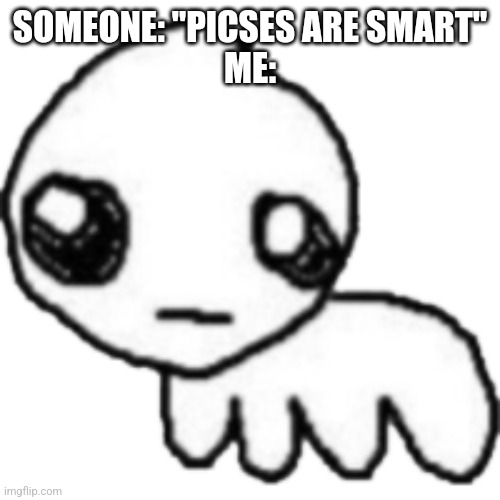 Oop. | SOMEONE: "PICSES ARE SMART"
ME: | image tagged in tbh | made w/ Imgflip meme maker