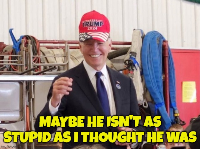 Maybe he is just that far gone | MAYBE HE ISN'T AS STUPID AS I THOUGHT HE WAS | image tagged in biden,dementia,make america great again,maga,2024,presidential election | made w/ Imgflip meme maker