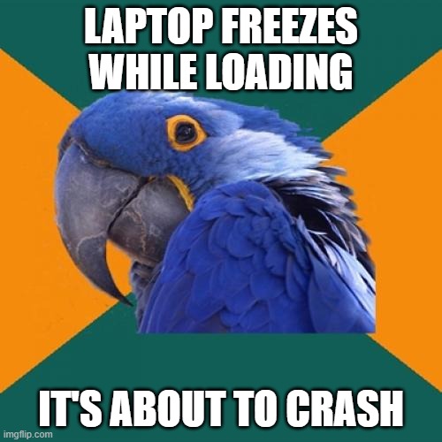 Paranoid Parrot | LAPTOP FREEZES WHILE LOADING; IT'S ABOUT TO CRASH | image tagged in memes,paranoid parrot | made w/ Imgflip meme maker