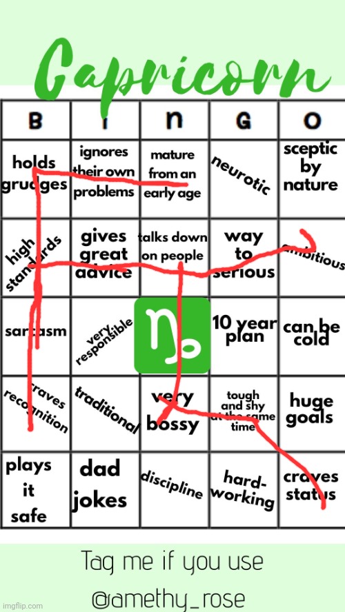 since people were doing zodiac sign bingo uhh | image tagged in capricorn bingo | made w/ Imgflip meme maker