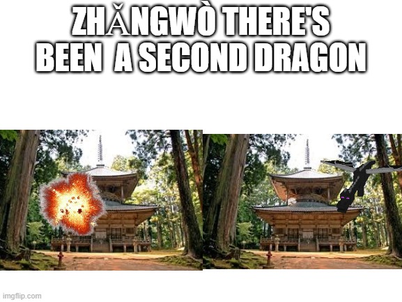 Blank White Template | ZHǍNGWÒ THERE'S BEEN  A SECOND DRAGON | image tagged in blank white template | made w/ Imgflip meme maker