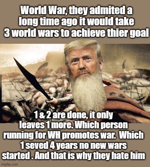 Fight the right war NOT THIERS ,don't fight wars the politicians start for thier own power hungry desires. | World War, they admited a long time ago it would take 3 world wars to achieve thier goal; 1 & 2 are done, it only leaves 1 more. Which person running for WH promotes war.  Which 1 seved 4 years no new wars started . And that is why they hate him | image tagged in memes,sparta leonidas | made w/ Imgflip meme maker