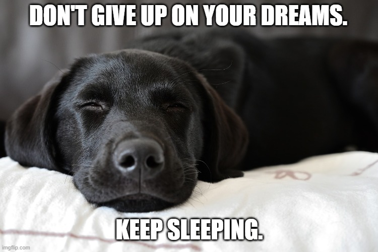 Don't give up on your dreams. Keep sleeping. | DON'T GIVE UP ON YOUR DREAMS. KEEP SLEEPING. | image tagged in dreams,dreaming | made w/ Imgflip meme maker