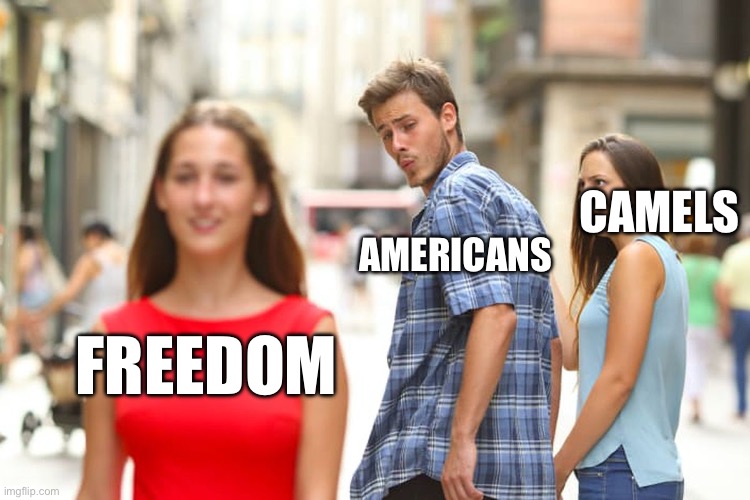 Distracted Boyfriend Meme | CAMELS; AMERICANS; FREEDOM | image tagged in memes,distracted boyfriend | made w/ Imgflip meme maker