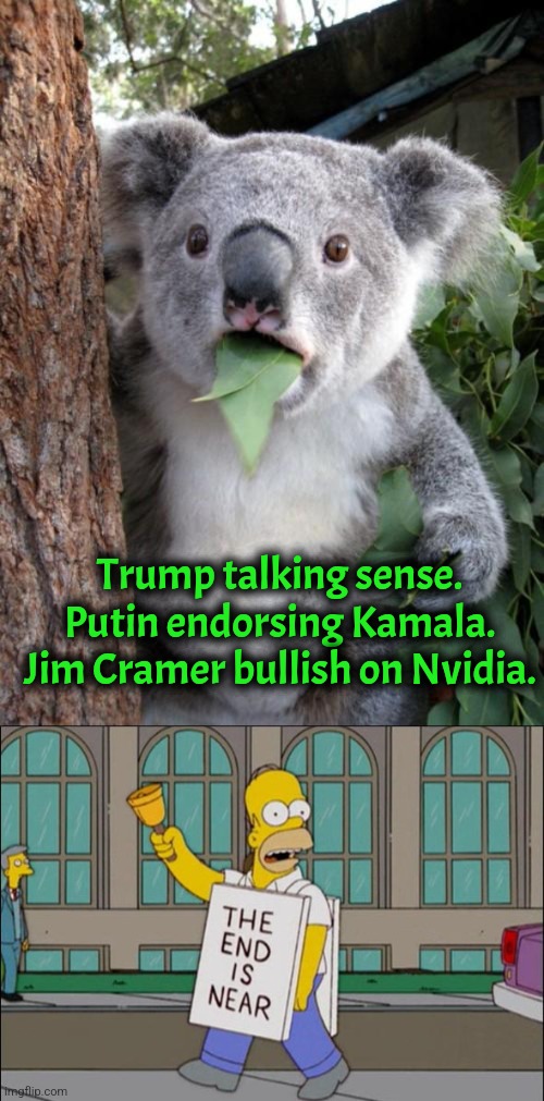 Armageddon is nigh | Trump talking sense.
Putin endorsing Kamala.
Jim Cramer bullish on Nvidia. | image tagged in surprised koala,end is near,trump,kamala harris | made w/ Imgflip meme maker