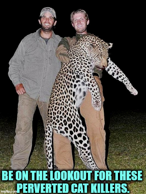 BE ON THE LOOKOUT FOR THESE 
PERVERTED CAT KILLERS. | image tagged in donald trump jr,eric trump,cat,killers | made w/ Imgflip meme maker