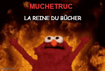 Bûcher Blank Meme Template