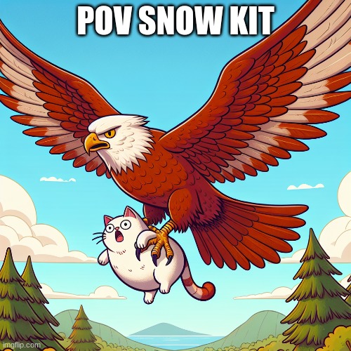 silly lil snowkit | POV SNOW KIT | image tagged in cats,warrior cats | made w/ Imgflip meme maker