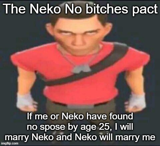 who wanna sign, perably girls | image tagged in the neko no bitches pact | made w/ Imgflip meme maker