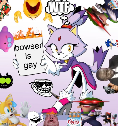 blaze with a sign | WTF; bowser
is 
gay | image tagged in blaze with a sign | made w/ Imgflip meme maker