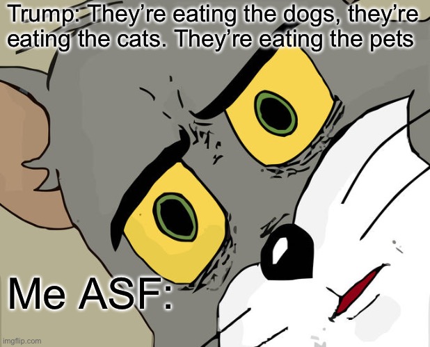 Unsettled Tom | Trump: They’re eating the dogs, they’re eating the cats. They’re eating the pets; Me ASF: | image tagged in memes,unsettled tom | made w/ Imgflip meme maker