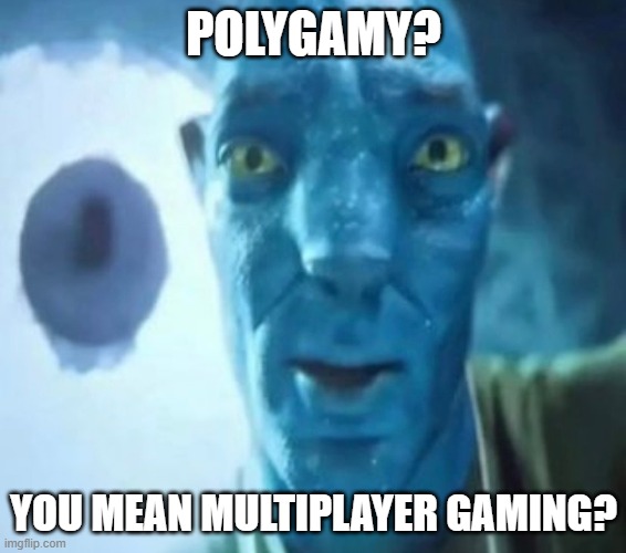 Avatar guy | POLYGAMY? YOU MEAN MULTIPLAYER GAMING? | image tagged in avatar guy | made w/ Imgflip meme maker