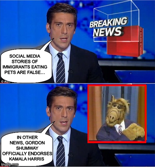 Immigrants eating cats and Endorsement | SOCIAL MEDIA STORIES OF IMMIGRANTS EATING PETS ARE FALSE…; IN OTHER NEWS, GORDON SHUMWAY OFFICIALLY ENDORSES KAMALA HARRIS | image tagged in newscast,alf,fake news,social media | made w/ Imgflip meme maker