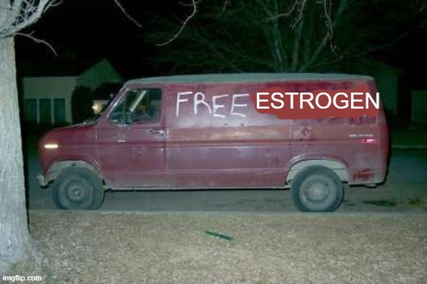 Get in. | ESTROGEN | image tagged in free candy van,transgender,trans | made w/ Imgflip meme maker