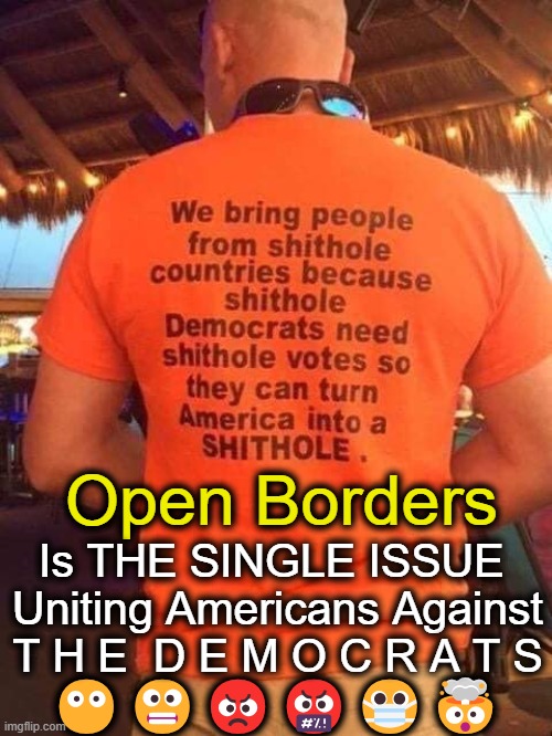 The Truth, The Whole Truth, and Nothing But The Truth | Open Borders; Is THE SINGLE ISSUE 
Uniting Americans Against
T H E  D E M O C R A T S; 😶😬😡🤬😷🤯 | image tagged in open borders,illegal immigration,drugs,crime,national debt,political humor | made w/ Imgflip meme maker