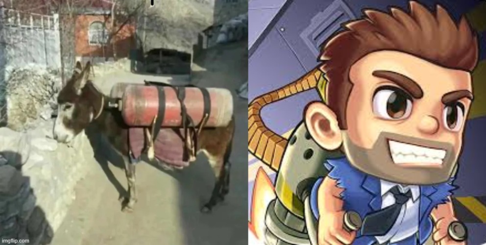 Donkpack joyride | image tagged in memes,funny,animals,fun | made w/ Imgflip meme maker