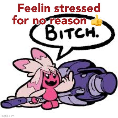 tinkaton bitch | Feelin stressed for no reason 👍 | image tagged in tinkaton bitch | made w/ Imgflip meme maker