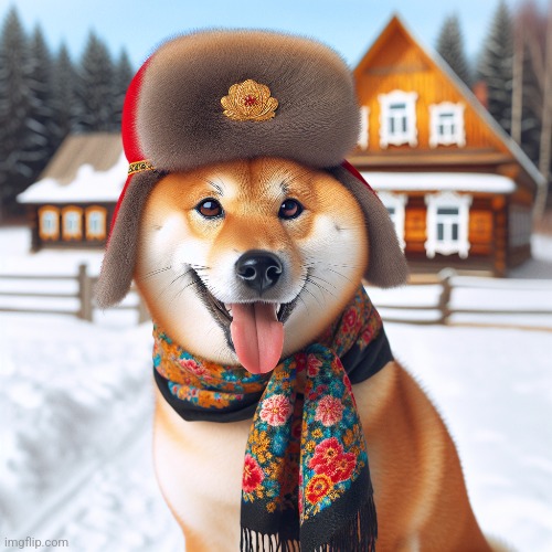 @Doge_no_russian | made w/ Imgflip meme maker