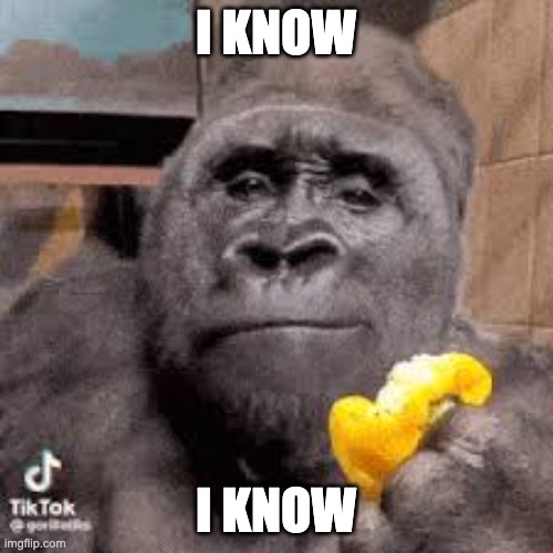 condescending monke | I KNOW I KNOW | image tagged in condescending monke | made w/ Imgflip meme maker