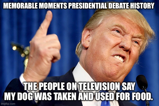 Donald Trump | MEMORABLE MOMENTS PRESIDENTIAL DEBATE HISTORY; THE PEOPLE ON TELEVISION SAY MY DOG WAS TAKEN AND USED FOR FOOD. | image tagged in donald trump | made w/ Imgflip meme maker