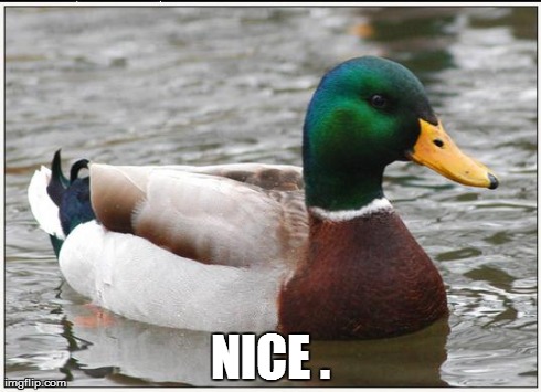 Actual Advice Mallard Meme | NICE . | image tagged in memes,actual advice mallard | made w/ Imgflip meme maker