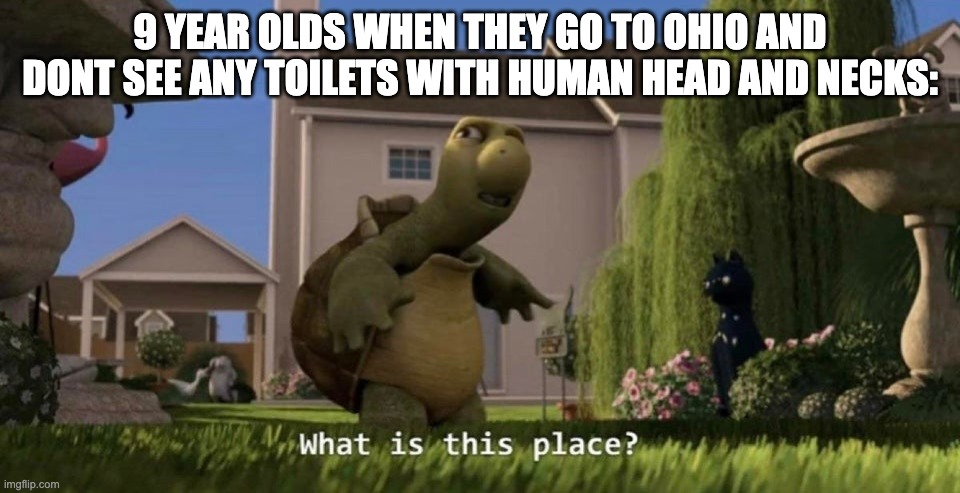 What is this place | 9 YEAR OLDS WHEN THEY GO TO OHIO AND DONT SEE ANY TOILETS WITH HUMAN HEAD AND NECKS: | image tagged in what is this place,memes,funny,gen alpha,ohio,oh wow are you actually reading these tags | made w/ Imgflip meme maker