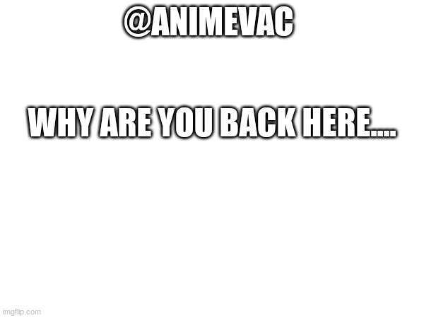 @ANIMEVAC; WHY ARE YOU BACK HERE.... | image tagged in why | made w/ Imgflip meme maker