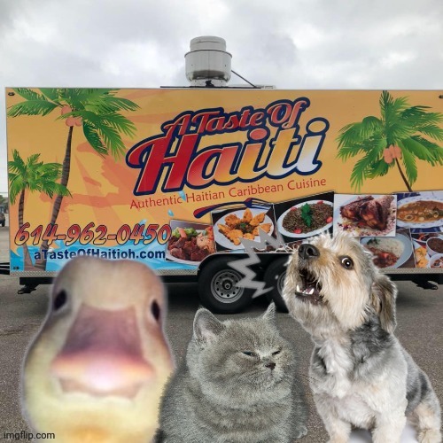 haitian food truck meme | image tagged in illegal immigration | made w/ Imgflip meme maker