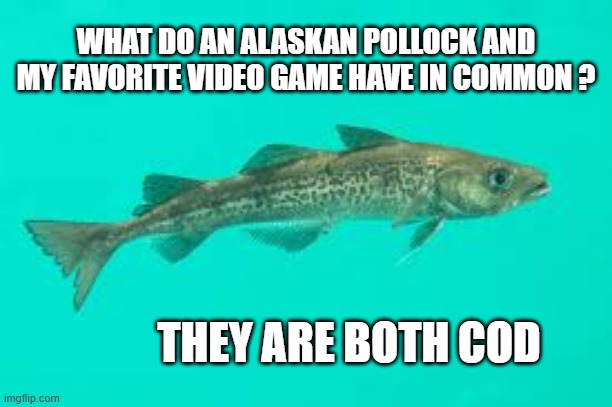 memes by Brad - Similarity between my favorite video game and an Alaskan Pollock | WHAT DO AN ALASKAN POLLOCK AND MY FAVORITE VIDEO GAME HAVE IN COMMON ? THEY ARE BOTH COD | image tagged in funny,gaming,computers,call of duty,fish,video games | made w/ Imgflip meme maker