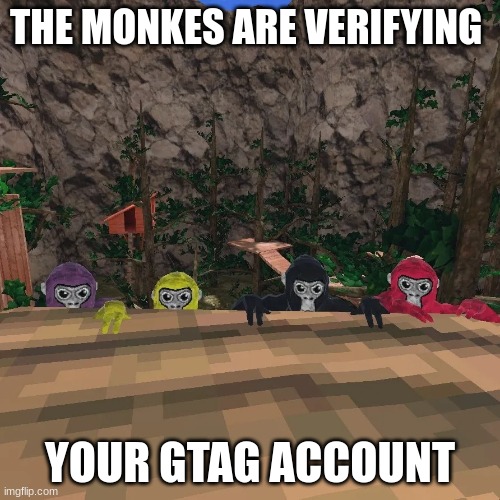 Gorilla Tag | THE MONKES ARE VERIFYING; YOUR GTAG ACCOUNT | image tagged in gorilla tag,funny | made w/ Imgflip meme maker