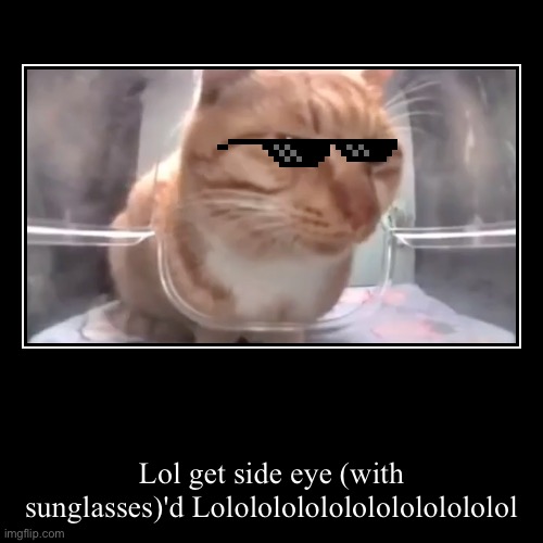 Lol get side eye (with sunglasses)'d Lololololololololololololol | image tagged in funny,demotivationals | made w/ Imgflip demotivational maker