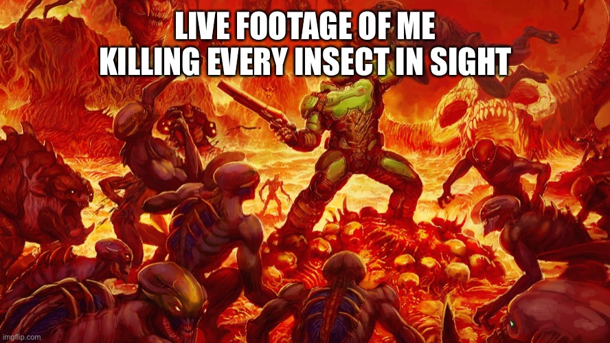 Doomguy | LIVE FOOTAGE OF ME KILLING EVERY INSECT IN SIGHT | image tagged in doomguy | made w/ Imgflip meme maker