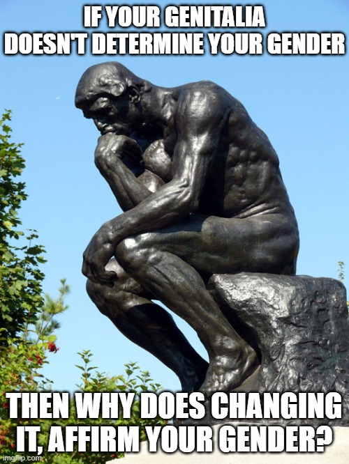 The Thinker | IF YOUR GENITALIA DOESN'T DETERMINE YOUR GENDER; THEN WHY DOES CHANGING IT, AFFIRM YOUR GENDER? | image tagged in the thinker | made w/ Imgflip meme maker