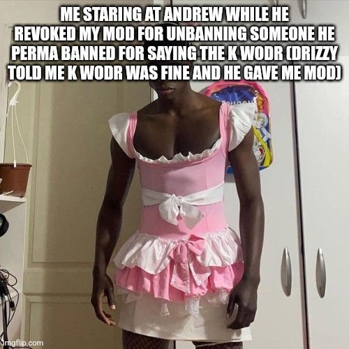 My honest reaction | ME STARING AT ANDREW WHILE HE REVOKED MY MOD FOR UNBANNING SOMEONE HE PERMA BANNED FOR SAYING THE K WODR (DRIZZY TOLD ME K WODR WAS FINE AND HE GAVE ME MOD) | image tagged in my honest reaction | made w/ Imgflip meme maker