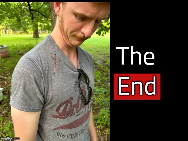 The End | image tagged in the end | made w/ Imgflip meme maker